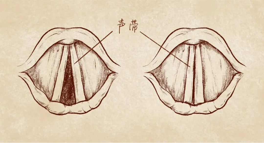 为什么语音里自己的声音能这么难听？