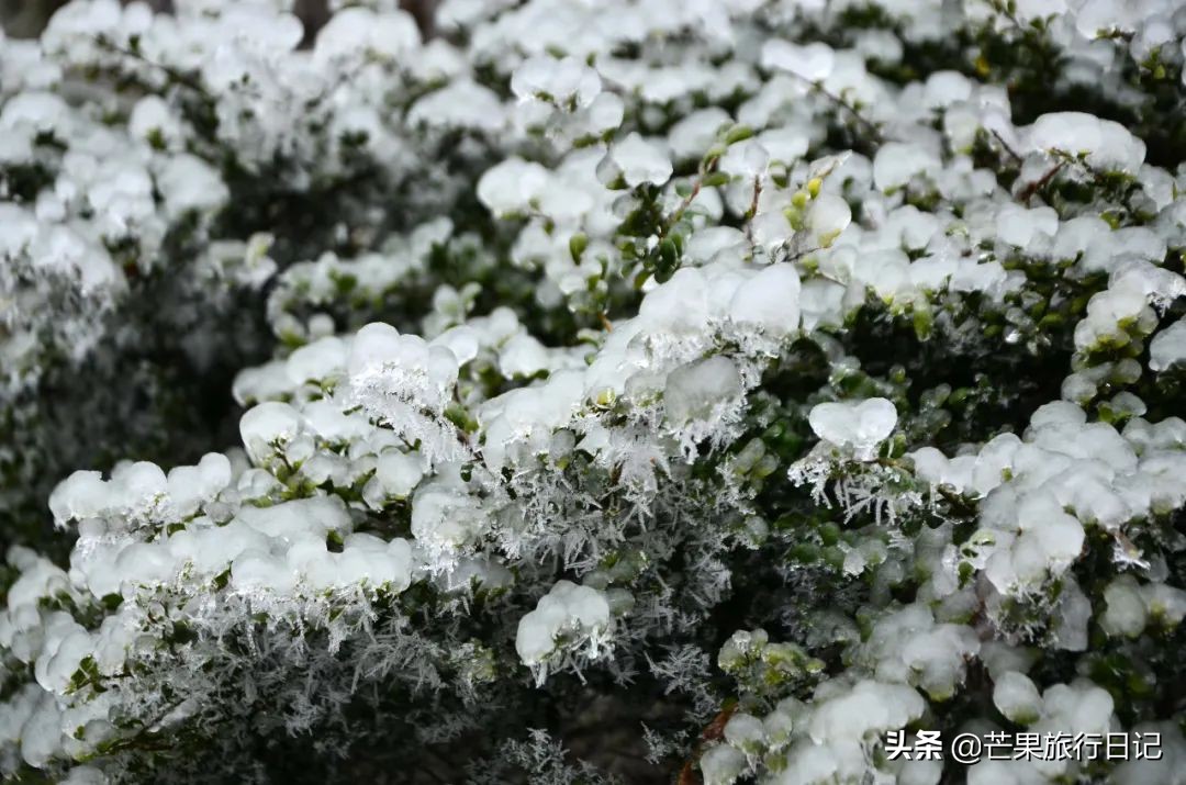 南岳衡山旅游网(距离广州仅两小时高铁，就有个绝美雾凇地，它就是湖南南岳衡山)