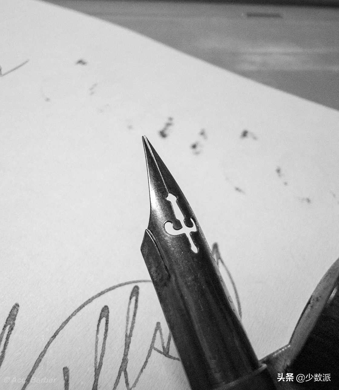 英语也能写「书法」，教你把 ABCD 写出花