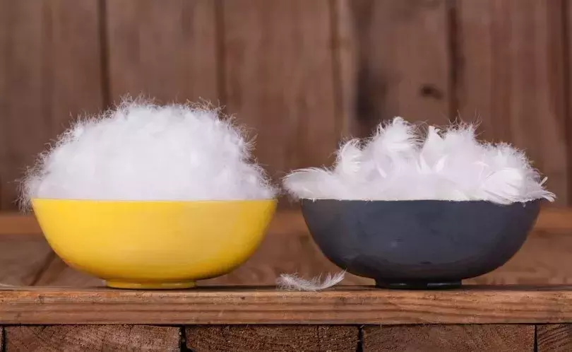 七八千一件的加拿大鹅到底贵在哪?