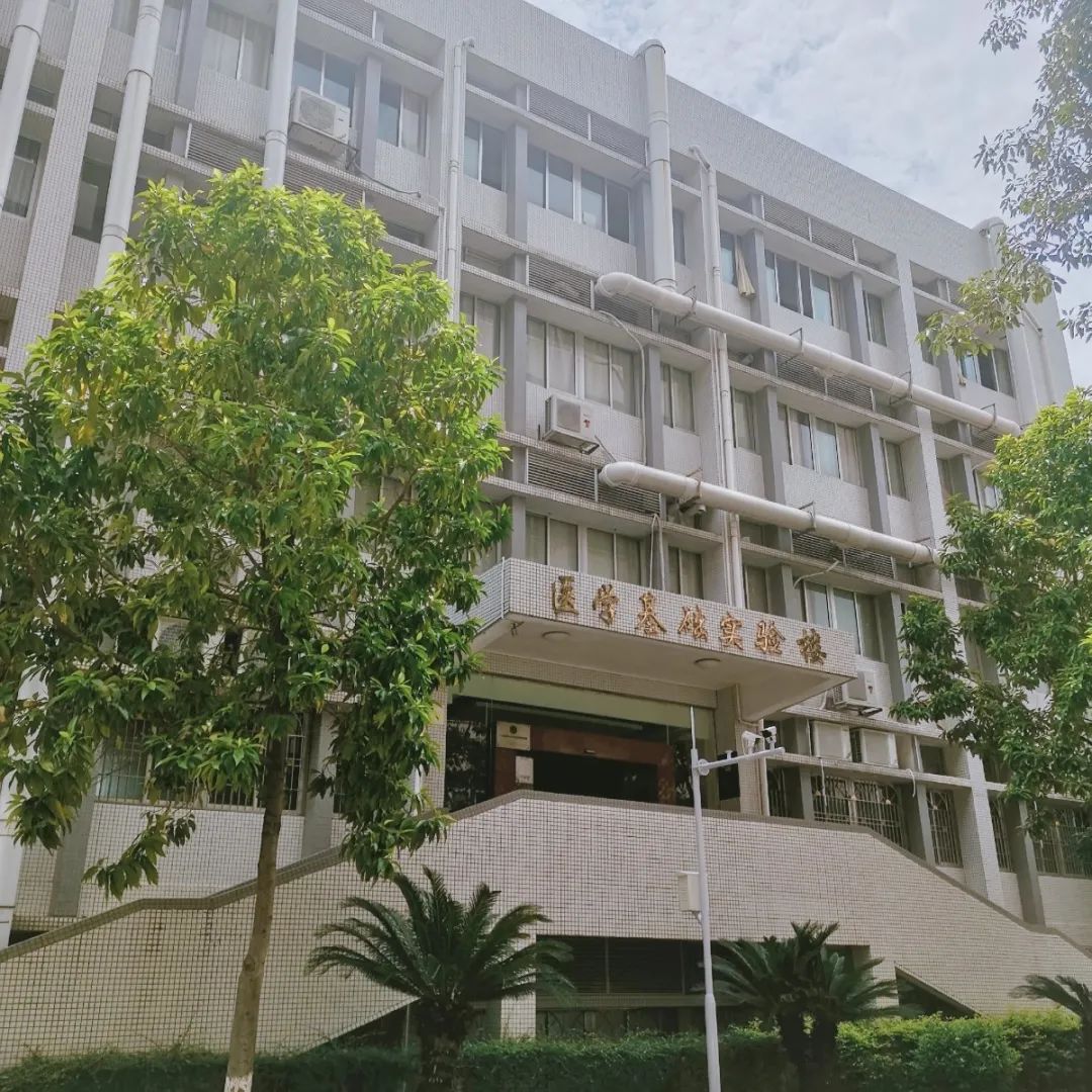 「公办本科」嘉应学院｜广东3+证书院校介绍