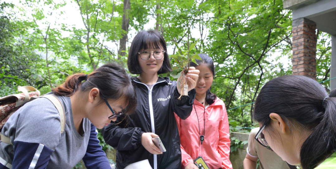 真正的大学生活“只有3年”？过来人说出实情，别等毕业才明白