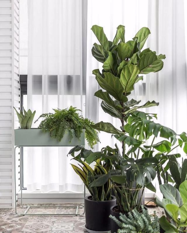 阳台只用来晾衣服？太可惜了，这样装修实用好几倍