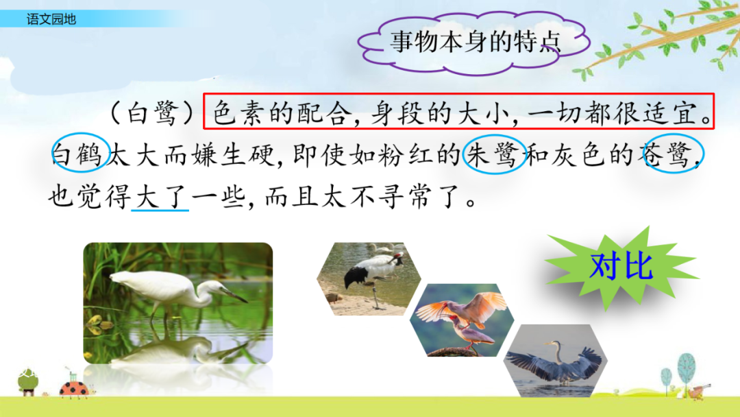 部编语文五年级上册《语文园地一》知识点+图文解读+课堂练习