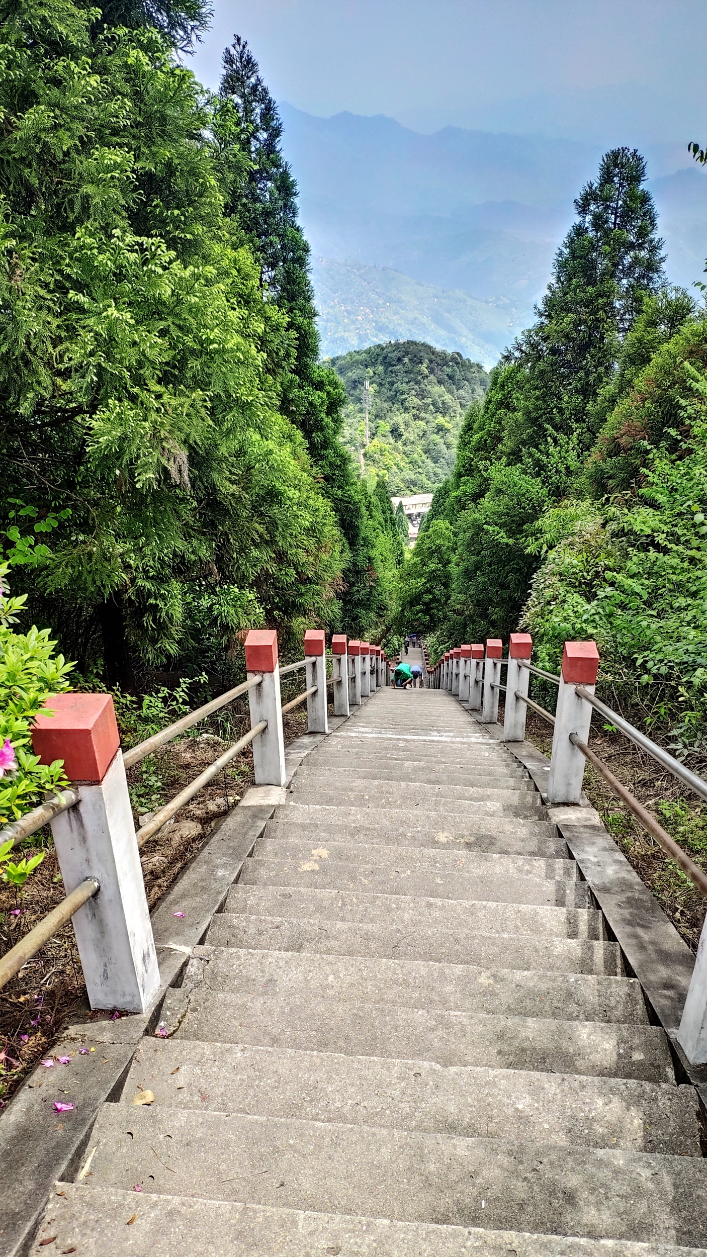 兰溪自驾游哪里好(离城市最近的国家森林公园！崇义阳明山是一个自驾游的好地方)