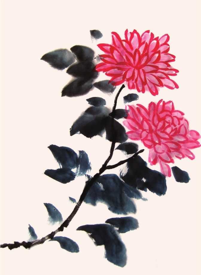 国画知识：不会画菊花？教你5种菊花画法，简单易学，快来临摹吧