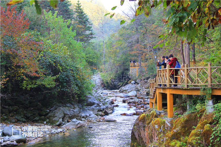 秦岭腹地精华自驾路线，私藏中国绝美秋景！陕西必驾，你去过吗？