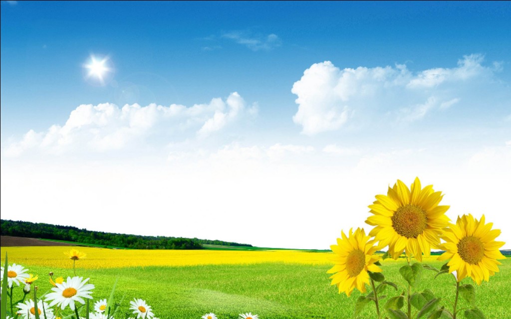 古诗欣赏-杜甫经典诗十首