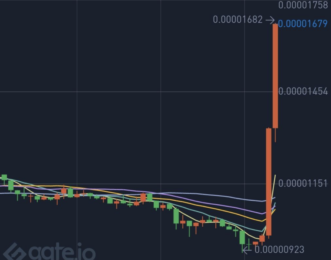 币圈疯了：炒完狗币炒屎币，下一步是炒LowB？