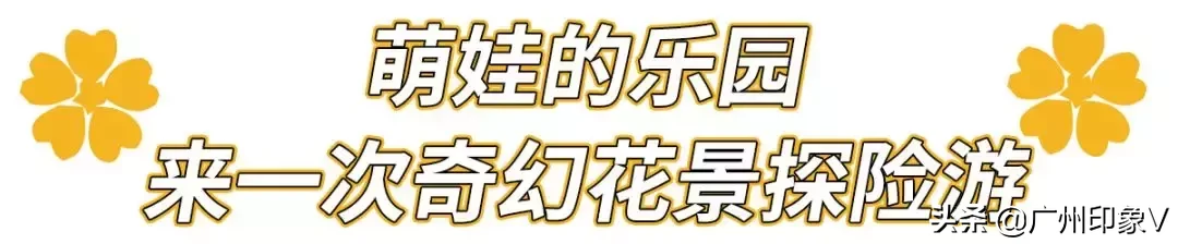 仅需￥139！原价￥258的广州融创乐园，限时特惠仅3天