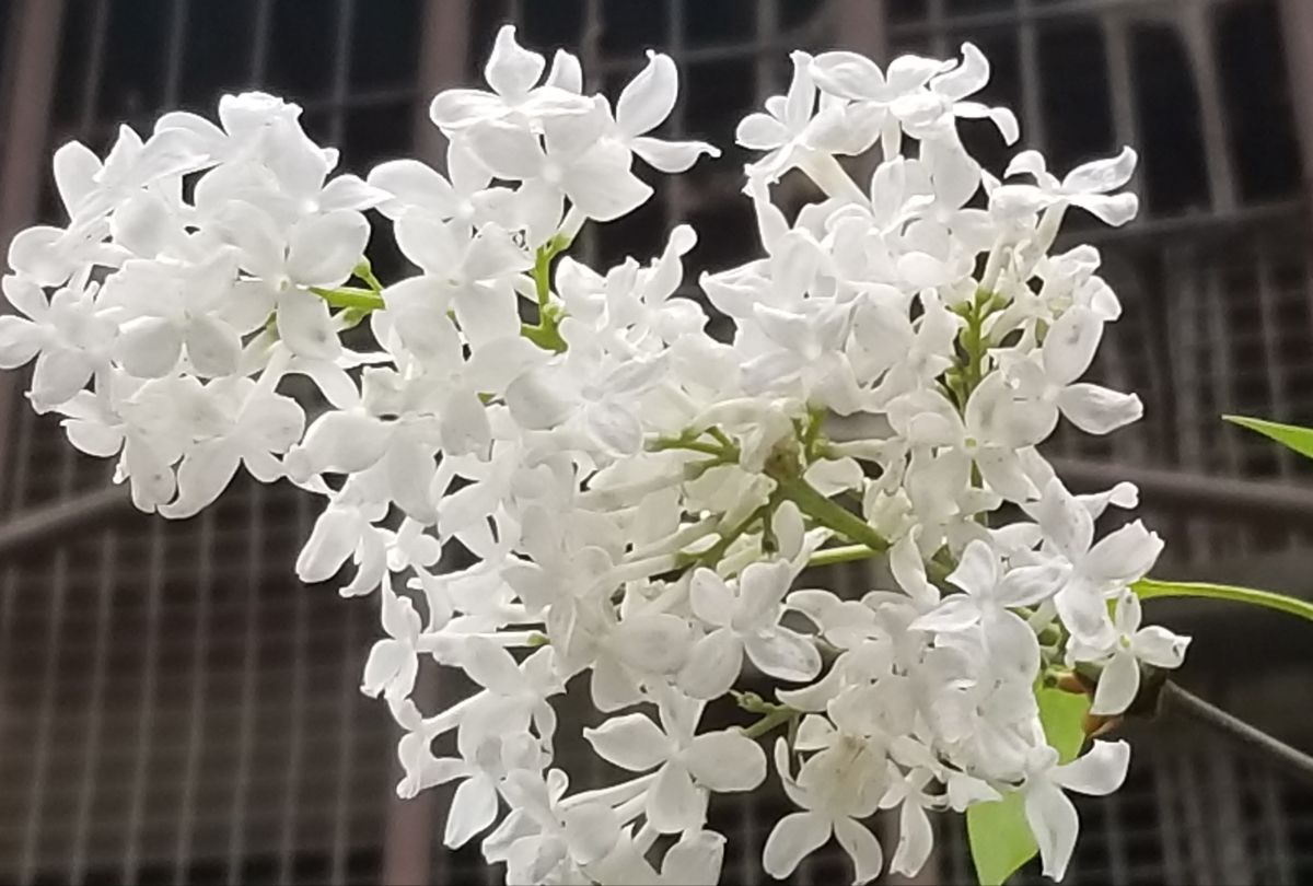 海棠文学文包(海棠文学城进不了)-我的快乐小窝