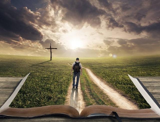 叶圣陶杯中学生作文赛获奖作品11篇: 篇篇都是满分作文的范文