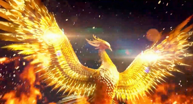 朱雀长什么样-朱雀长什么样子? - 114知识网