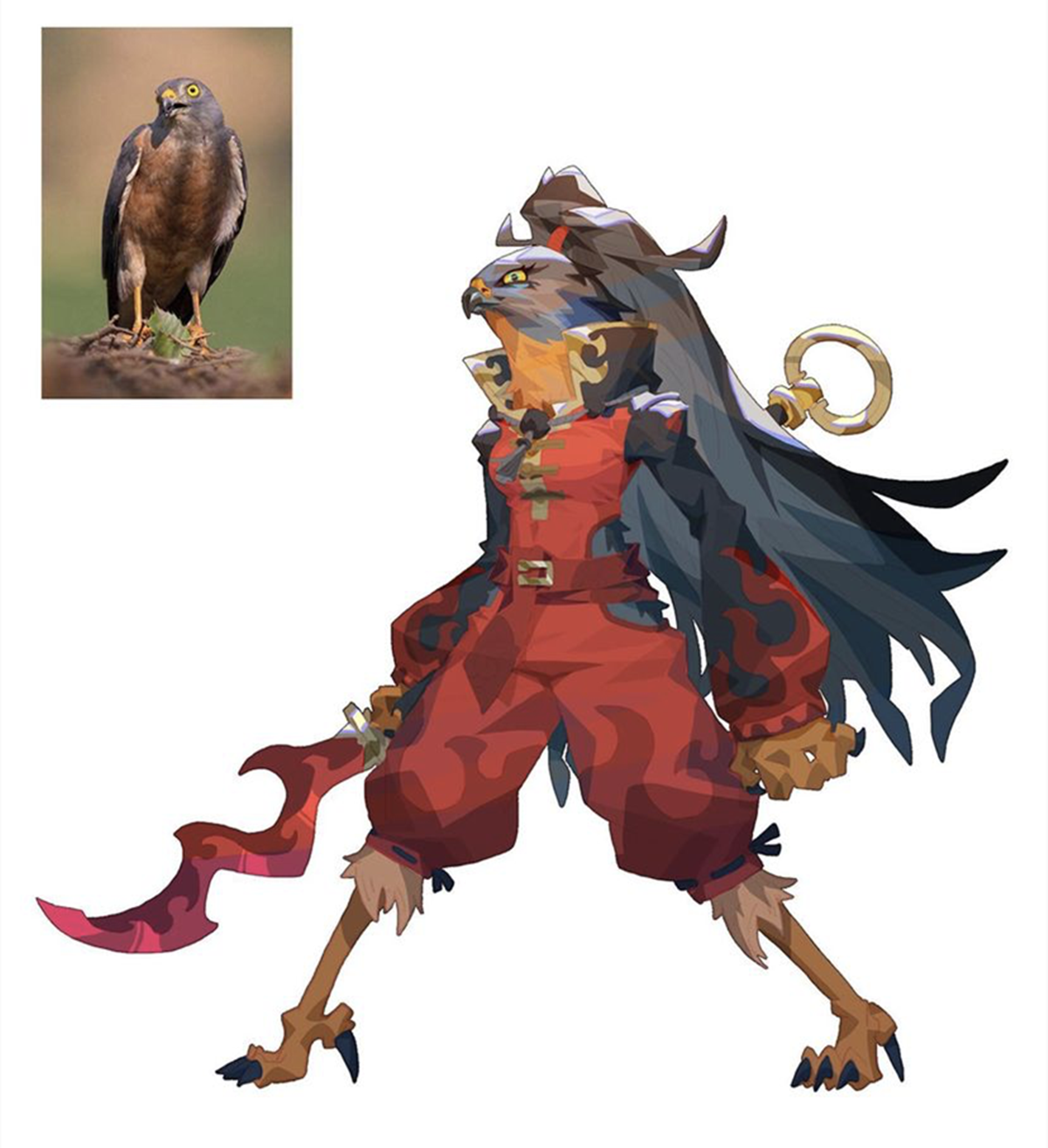 当鸟类变成了二次元里面的人物,谁才是你心目中真正的鸟类之王