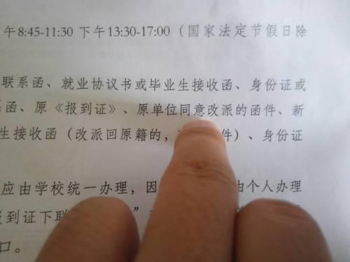 大学生档案查询,大学生档案查询网站