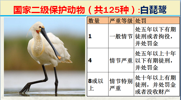 二级保护动物（国家最新125类二级野生保护名录）