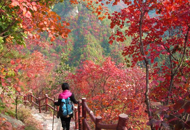 五河景点排行榜_河南省全域旅游示范县有哪些 - 密云旅游