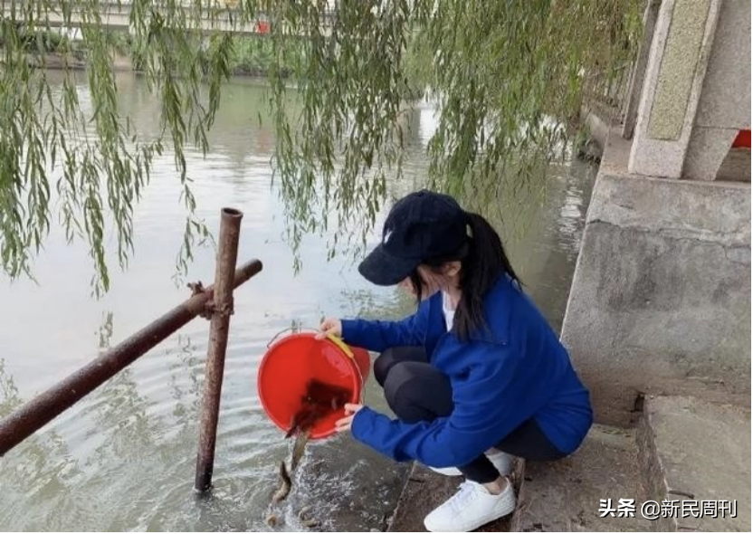 “上海名媛”背后的神秘力量竟然是……