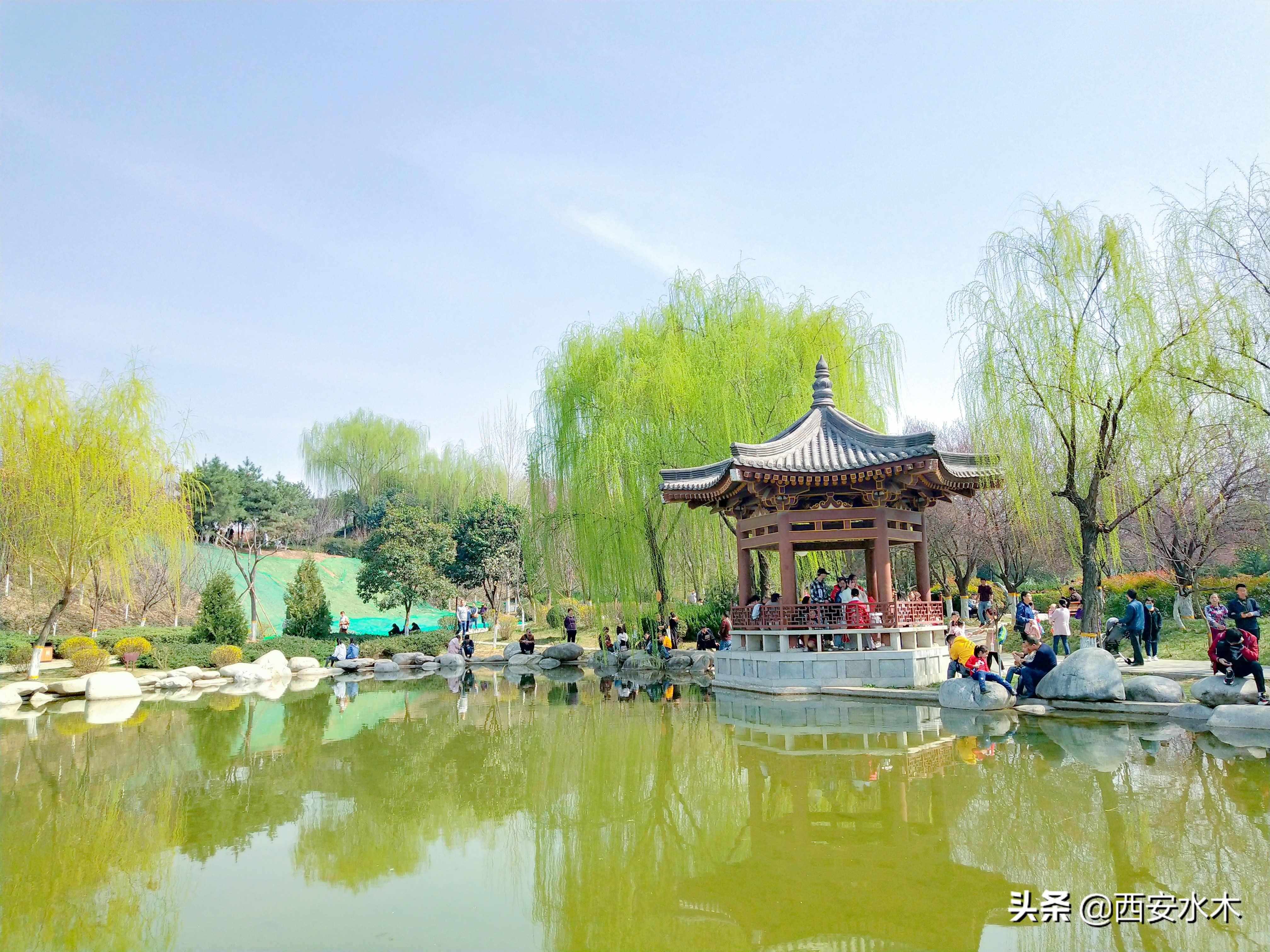 西安青龙寺公园图片