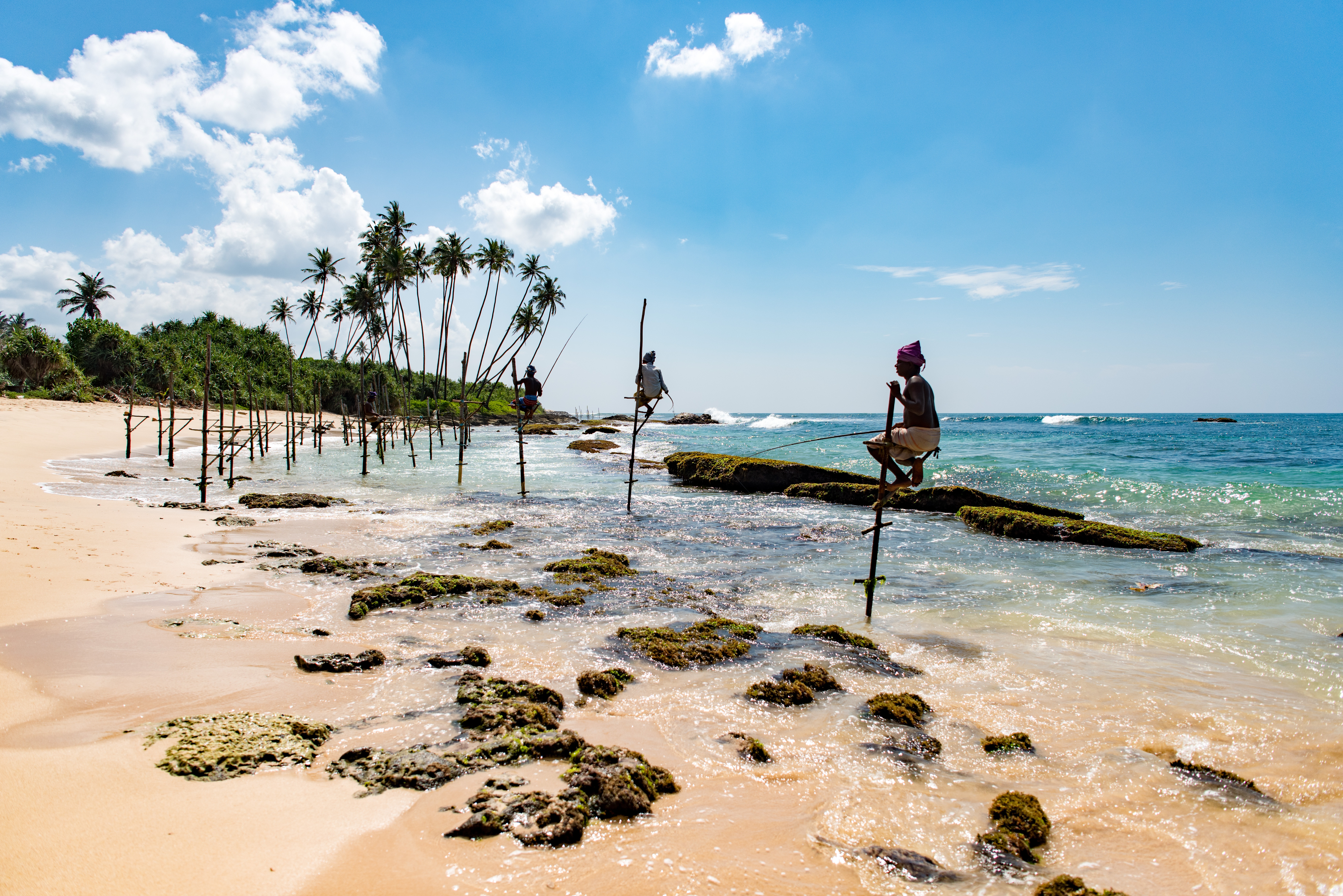 斯里兰卡旅行攻略，印度洋上的现实版千与千寻