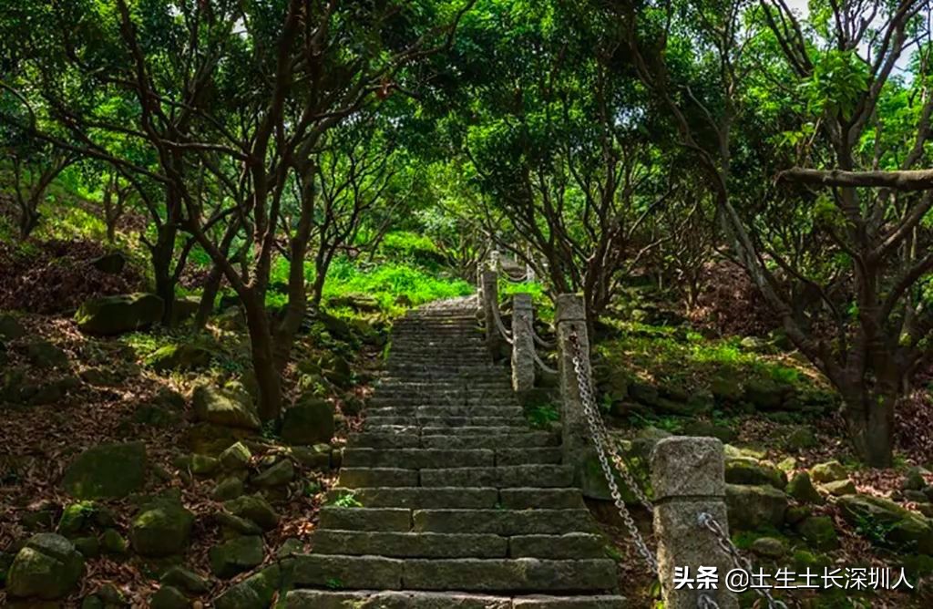 深圳这些山你肯定没少爬，但它背后的含义你知多少