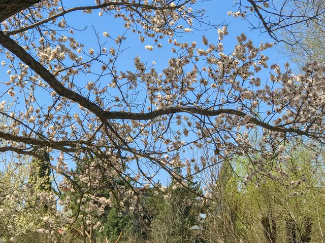 内蒙古的“土豪”大学，是一所省部共建高校，校园风景四季美如画