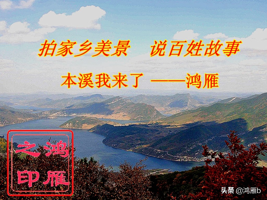 實拍收割機收割玉米