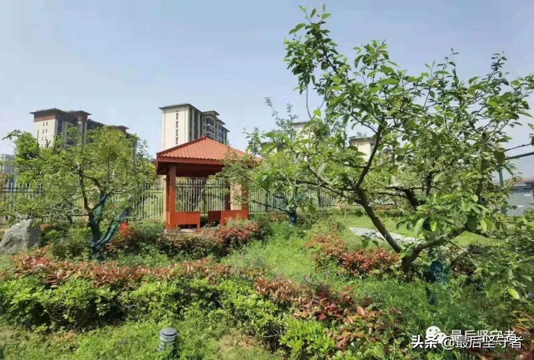 理想学校的样子