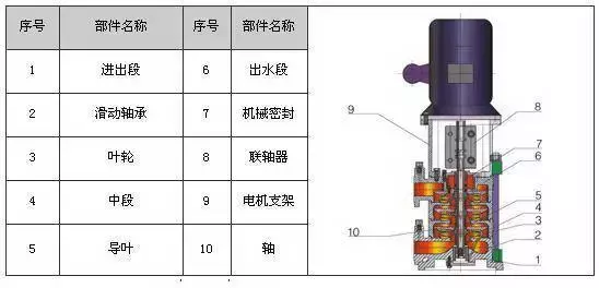 剖开看34种泵的内部结构图 性能特点一目了然