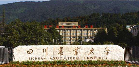农林院校不受待见，国家很重视，有2所985,8所211