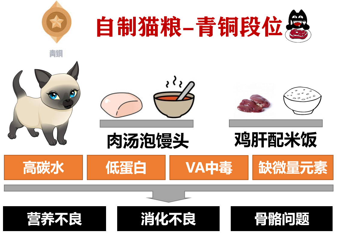 自制猫罐头做法（自制猫罐头做法大全）-第3张图片-昕阳网