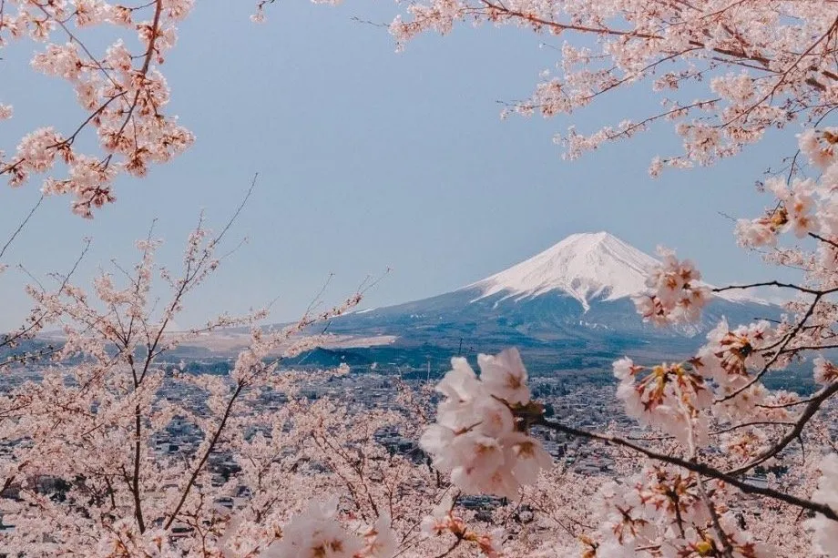 日本俳句中的季语,浪漫到极致