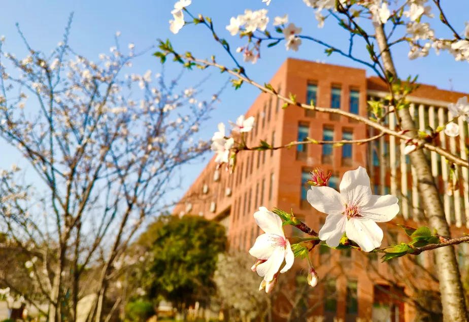 来武汉外语外事职业学院，出国不是梦