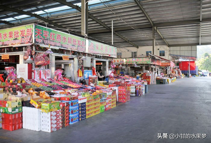 广州两大水果批发市场，天平水果批发市场和江南水果批发市场