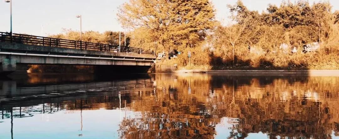 艺考资讯 | 九大美院的校园景色battle，也是神仙打架