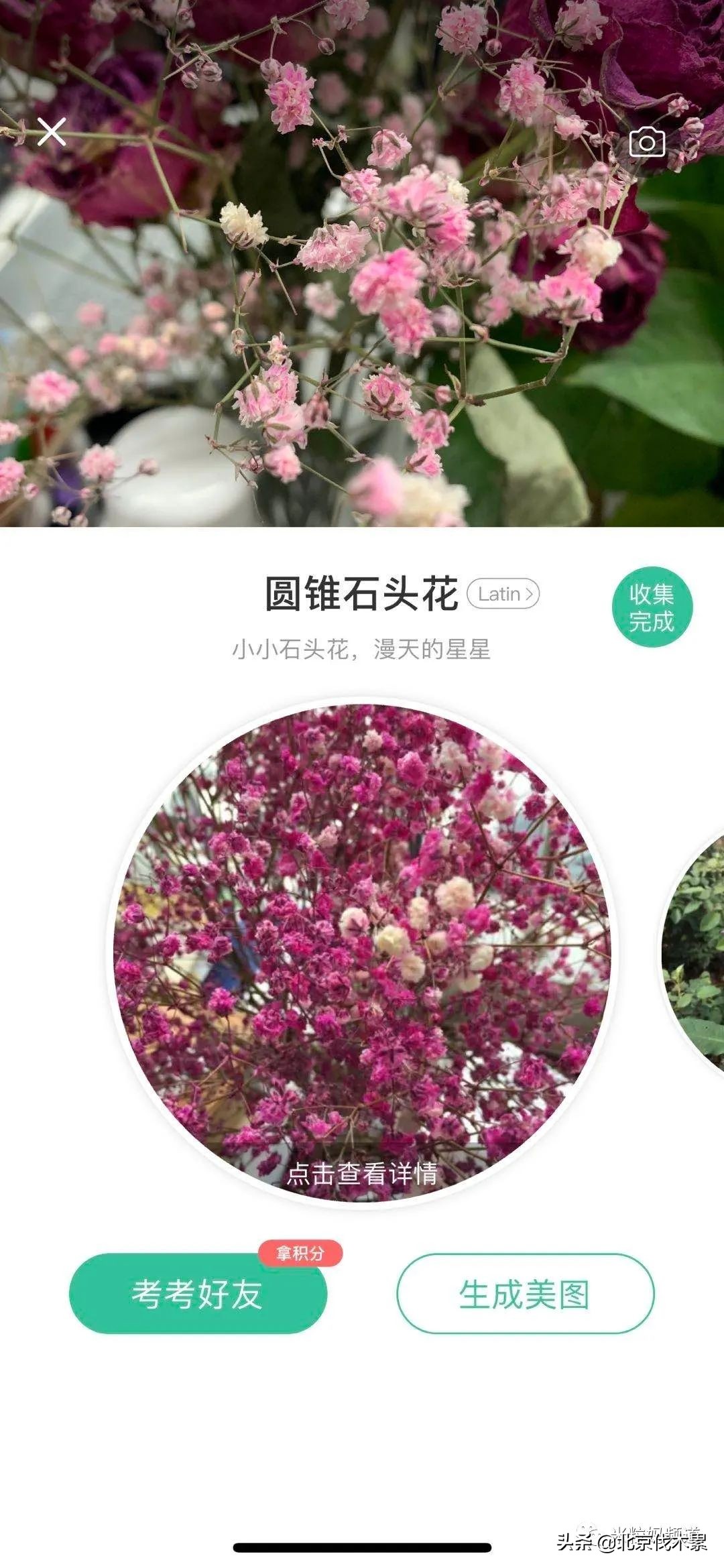 我的宝藏APP大公开，关键时刻能救中年老母亲的命