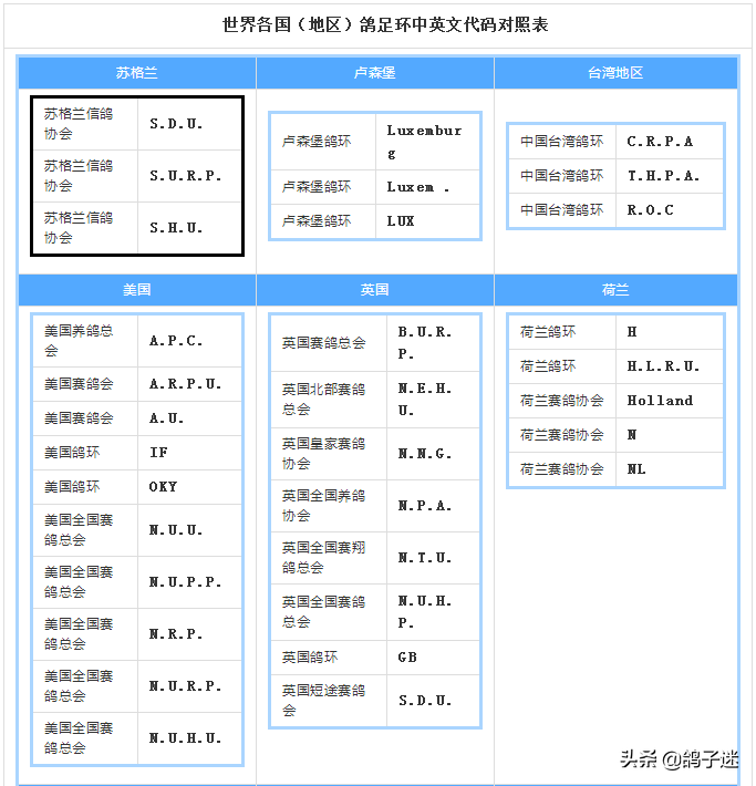 世界杯鸽子足环号代表国家(信鸽统一足环代码对照表（收藏）)