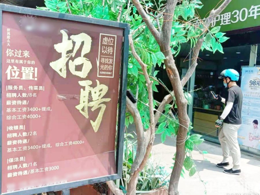 饭店招聘信息（半岛聚焦）