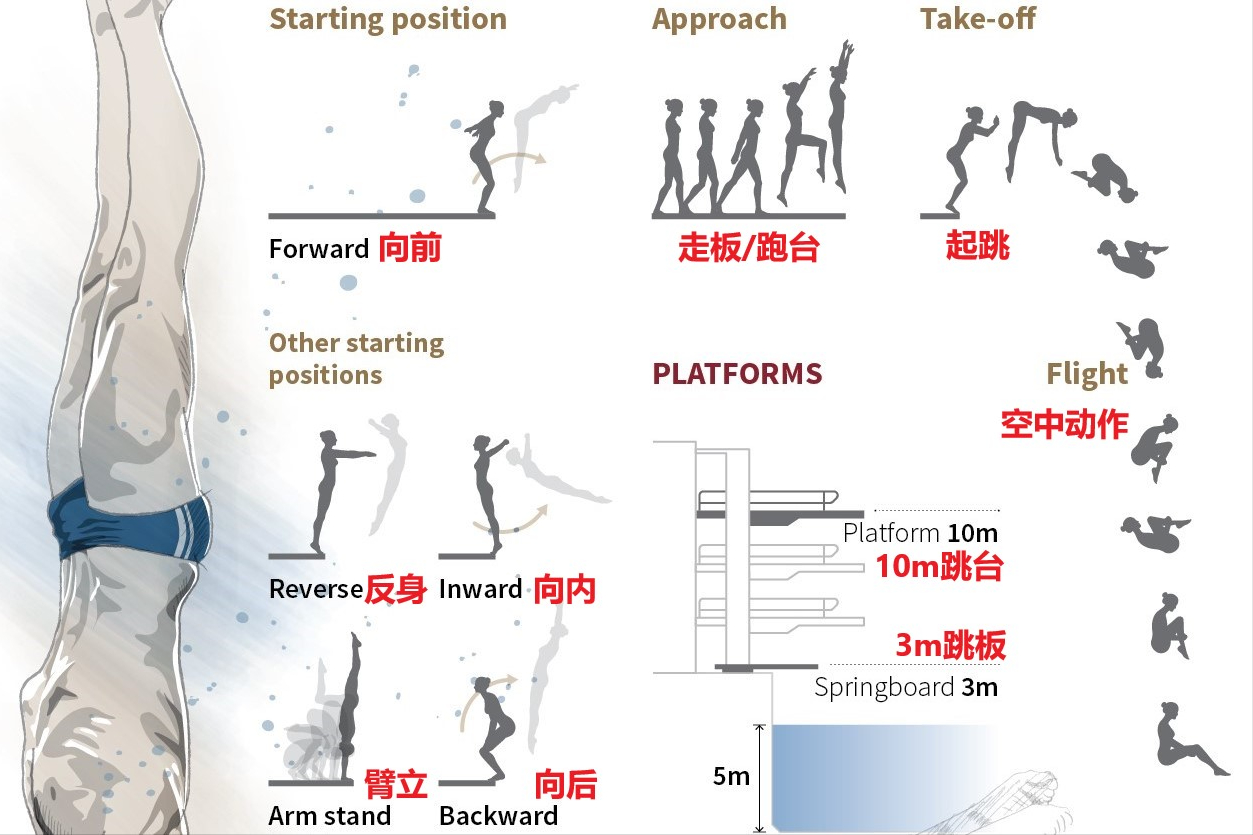 跳水是按什么來評定的（中國跳水隊又奪冠了，可是你錯過了一半的精彩）