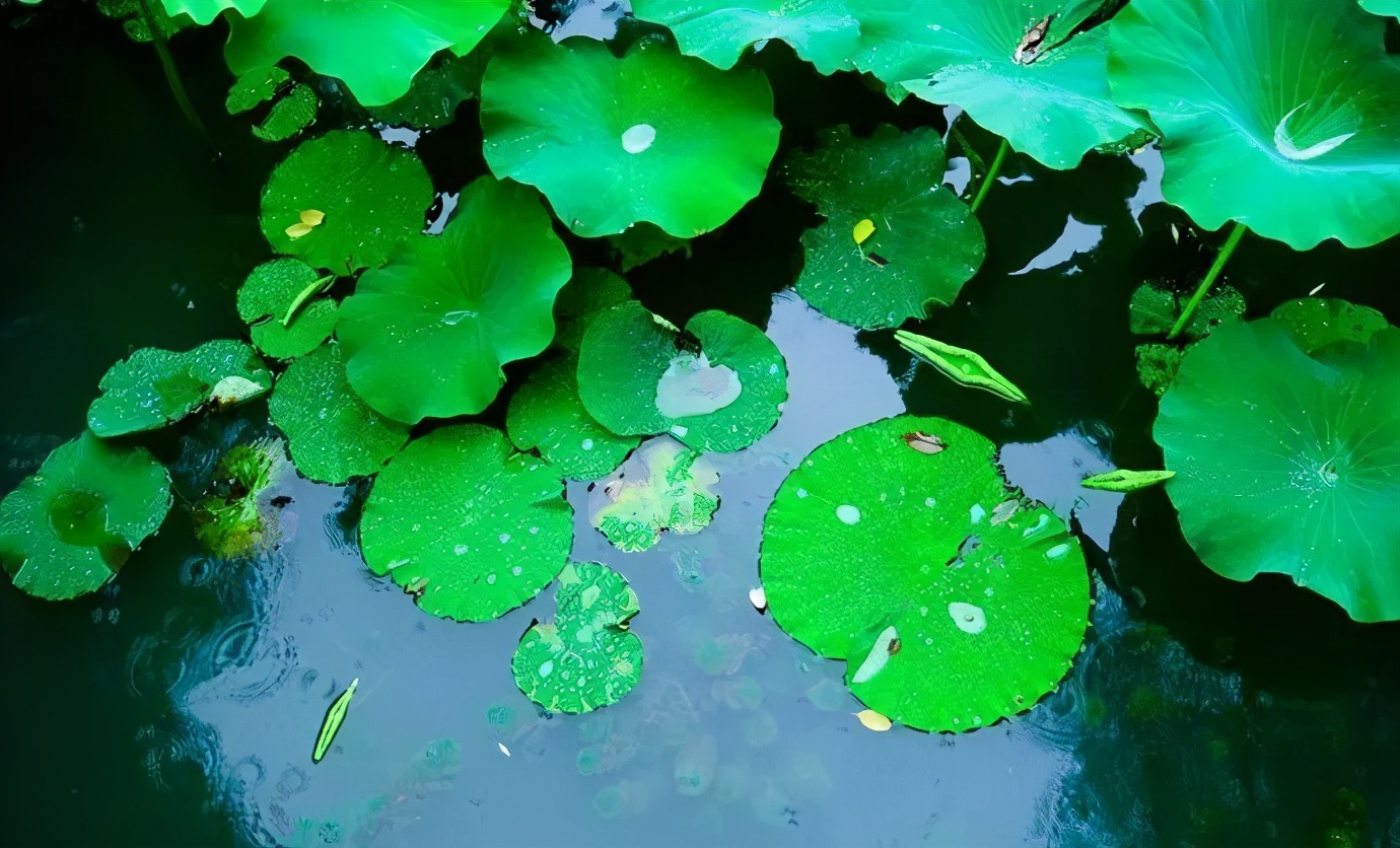 这个夏天去苏州过几天清闲安逸的日子，这九大景点你不得不去