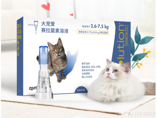 新手养猫指南——养猫一年我花了多少钱？看完我震惊了