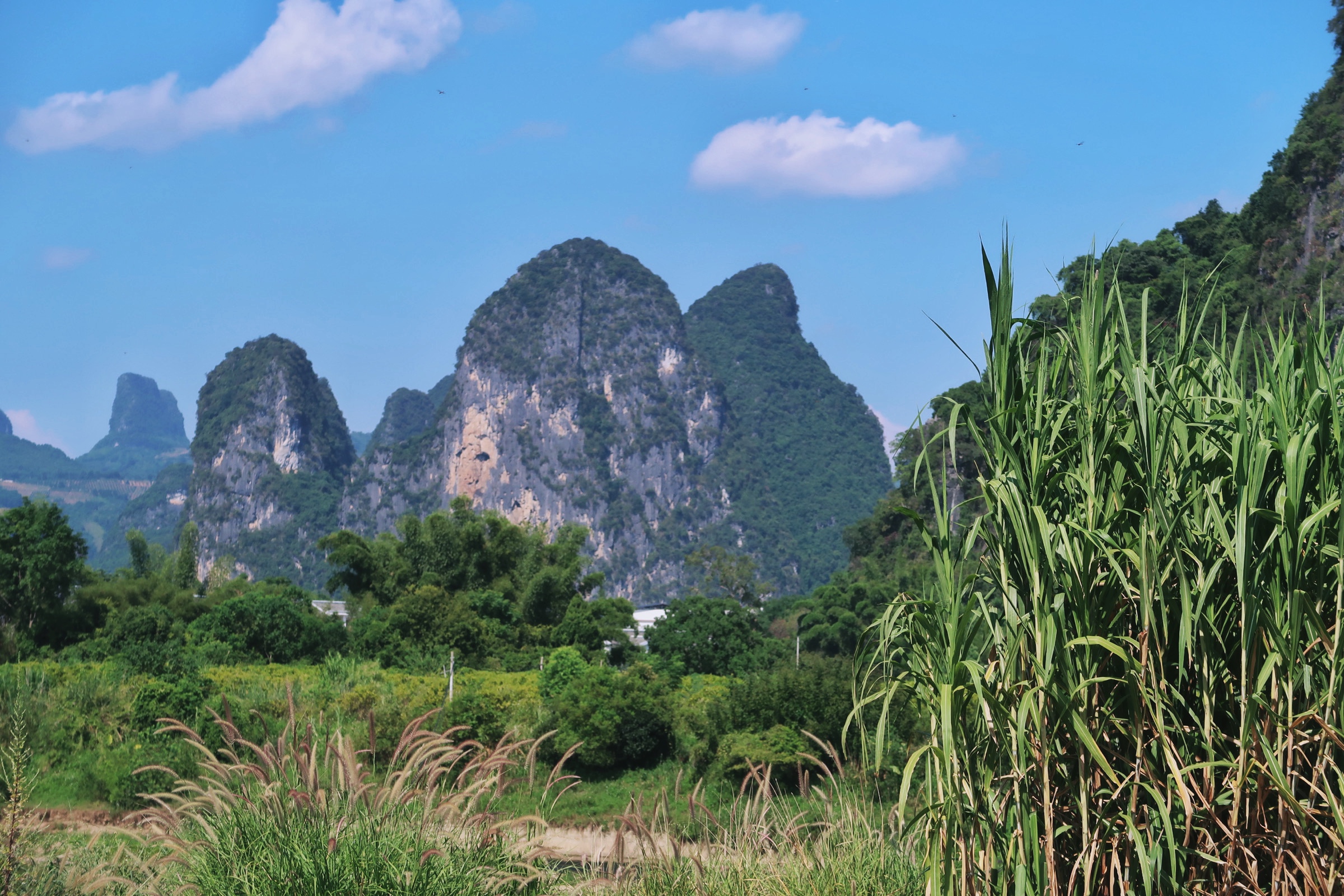 中餐厅在哪里拍的(打卡《中餐厅5》拍摄取景地，阳朔三千漓的诗意生活)