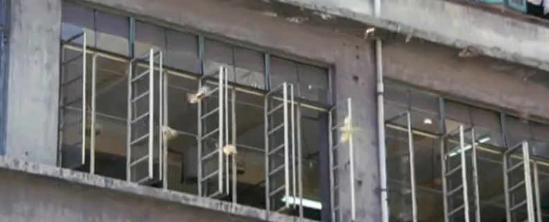 《学校风云》：林正英演警察，袁洁莹演女学生，张耀扬继续当坏蛋