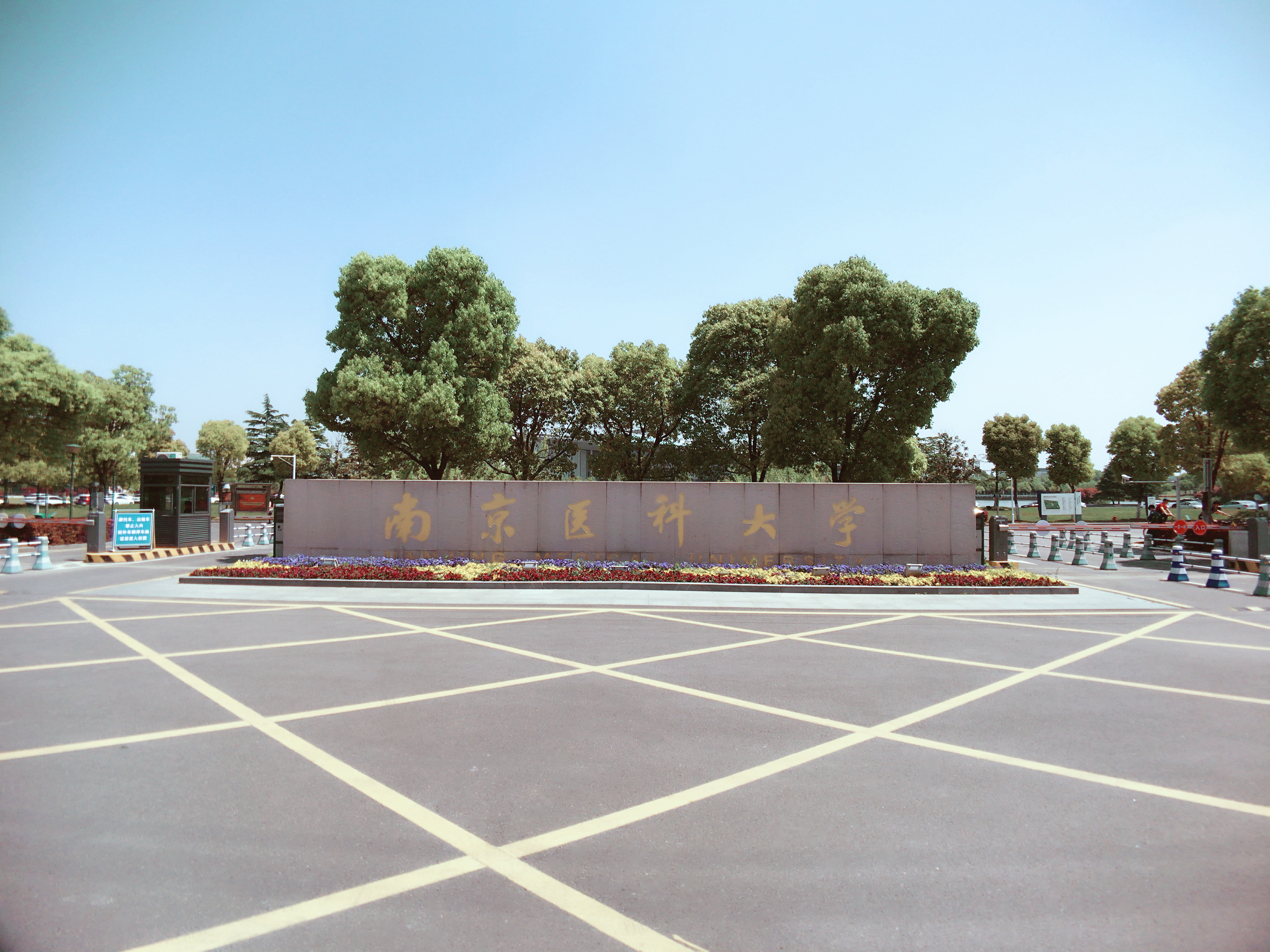 云南大学会是双一流吗（学科实力最高第1）