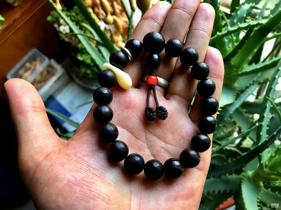 真的无患子佛珠多少钱(它是最古老的菩提手串) - 价格百科