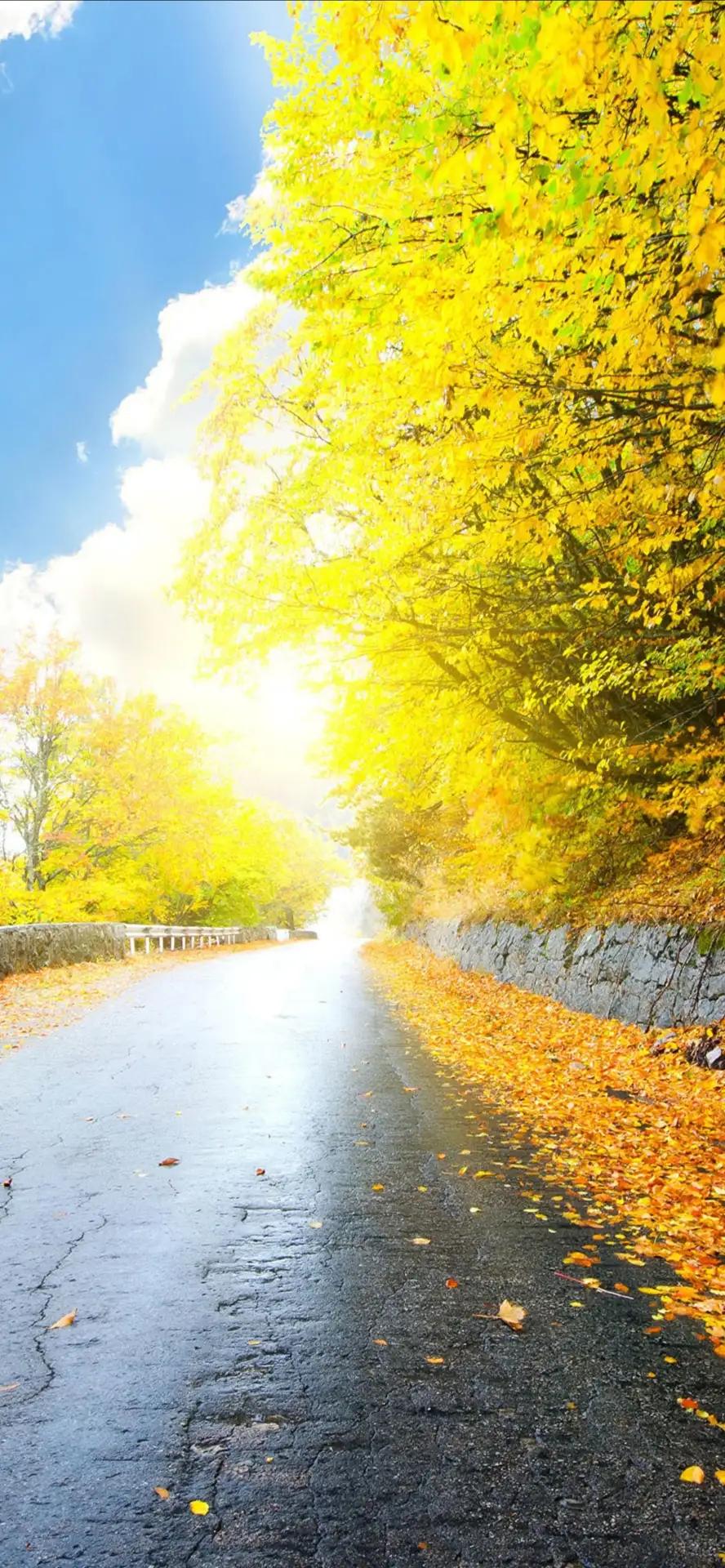 妈妈，我们总是把你藏在你的心里。