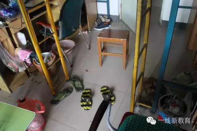 十三岁孩子写的关于“大学生自理情况”的调查报告！