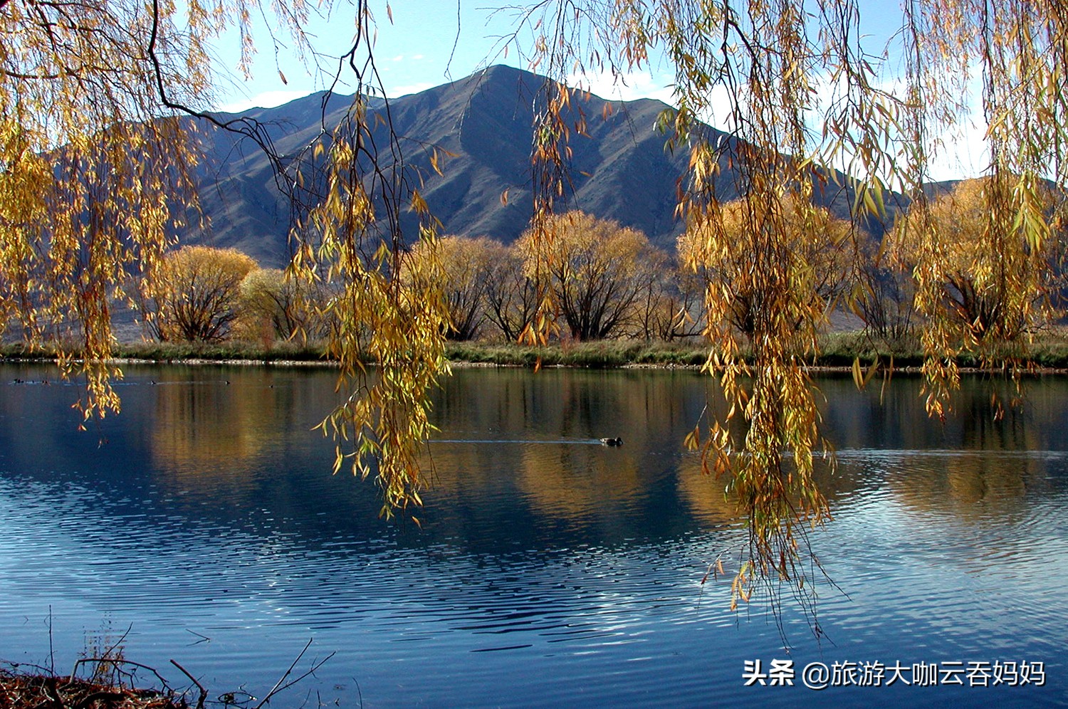 新西兰旅游签证实战分享，我是如何花69元省下1400元签证费？