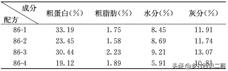 牛蛙的养殖技术（正确的牛蛙的养殖方法大全）