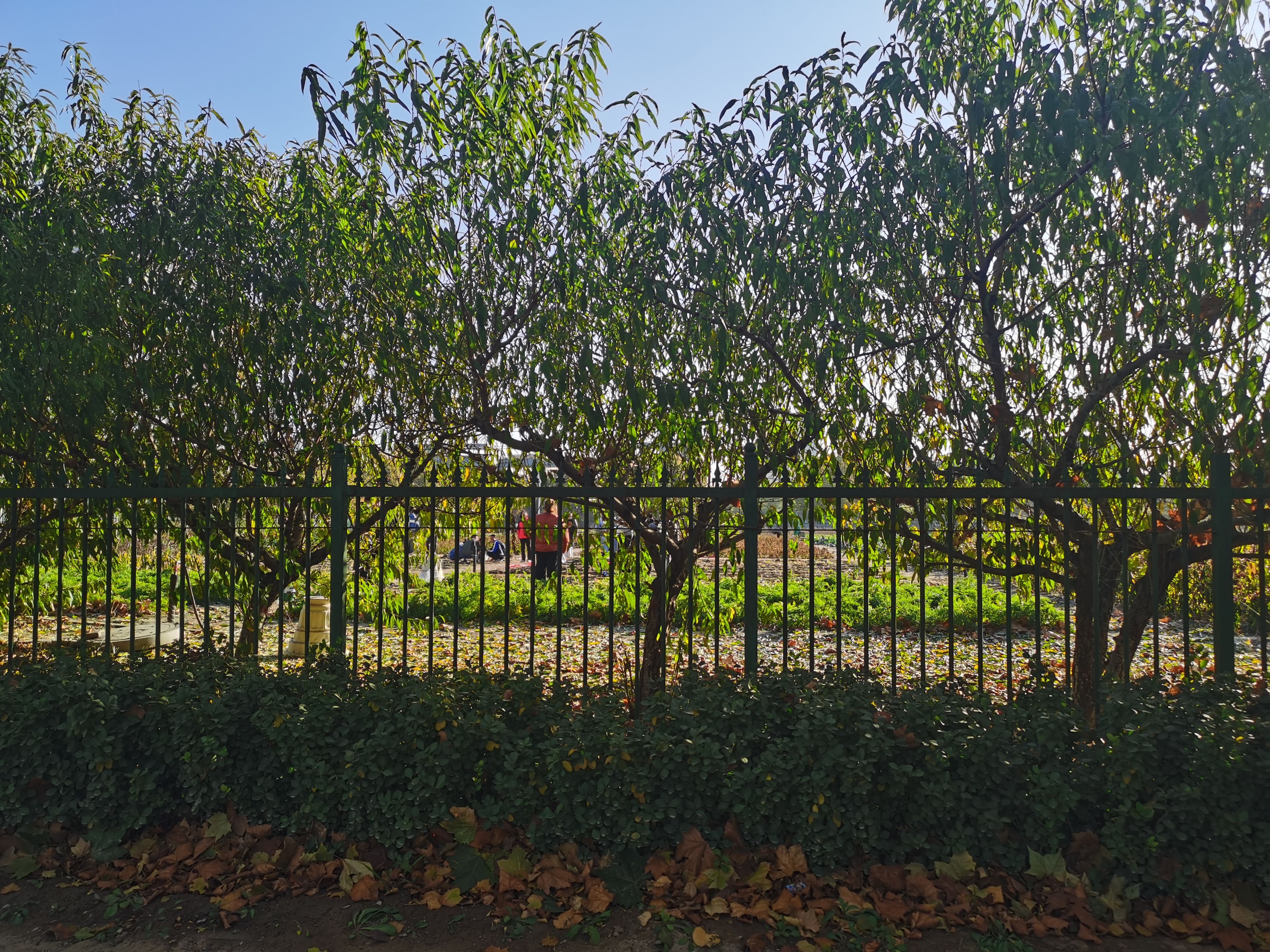 初冬的唐山职业技术学院兴盛可期